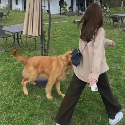 名门二淑女之心之万生祈恋