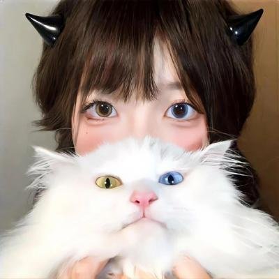 僧侣和枪